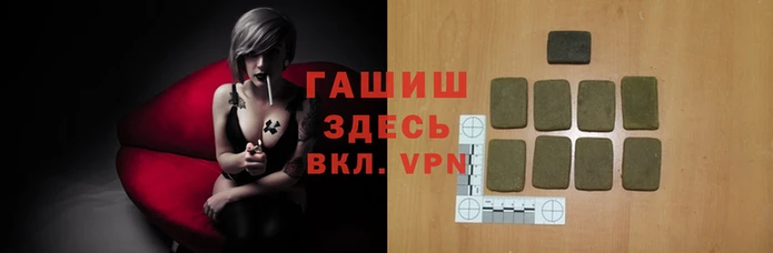 стафф Михайлов